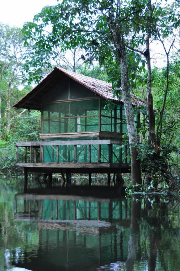A casa na Floresta, quase alagada, sobre palafitas de mais de dez metros de altura, na Reserva do Mamirauá, região de Tefé, no Amazonas